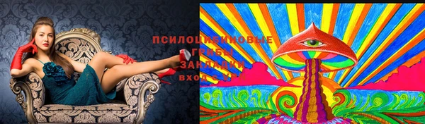 дурь Абинск