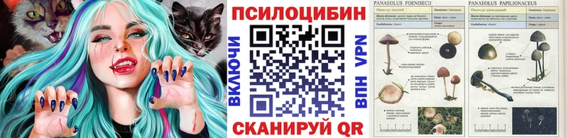 сайты даркнета какой сайт  Цимлянск  Псилоцибиновые грибы ЛСД  даркнет сайт 